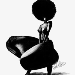 Silhouette of woman with large afro hairstyle.